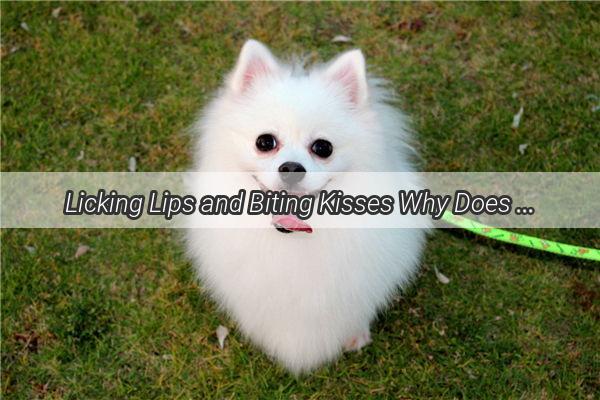 Licking Lips and Biting Kisses Why Does My Dog Chew on My Mouth Unveiling the Pawsome Mystery